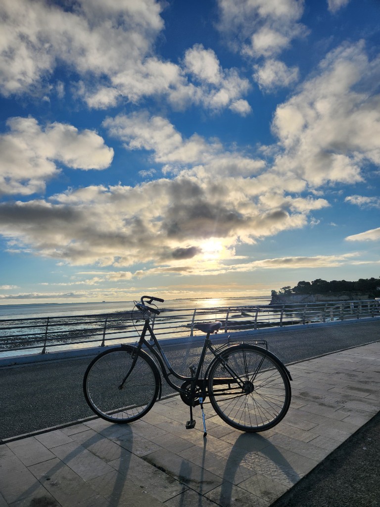 海濱單車