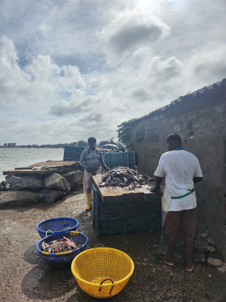 海邊魚市